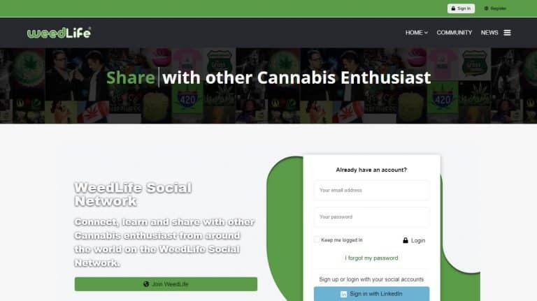 Cannabis Business Social Networks